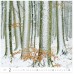 forest h171 002